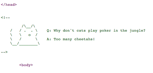 Q: Why don't cats play poker in the jungle? A: Too many cheetahs!